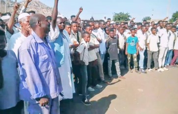 أهالي الدالي أهالي الدالي