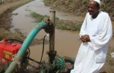 مزارع سوداني