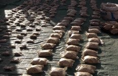 جانب من المضبوطات