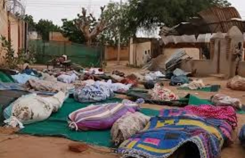 ضحايا الفاشر ضحايا الفاشر