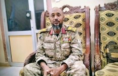 قائد قطاع النيل