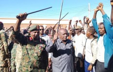 أسود الجزيرة