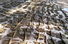 مواد مخدرة - أرشيفية