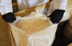 حبوب مخدرة - أرشيفية