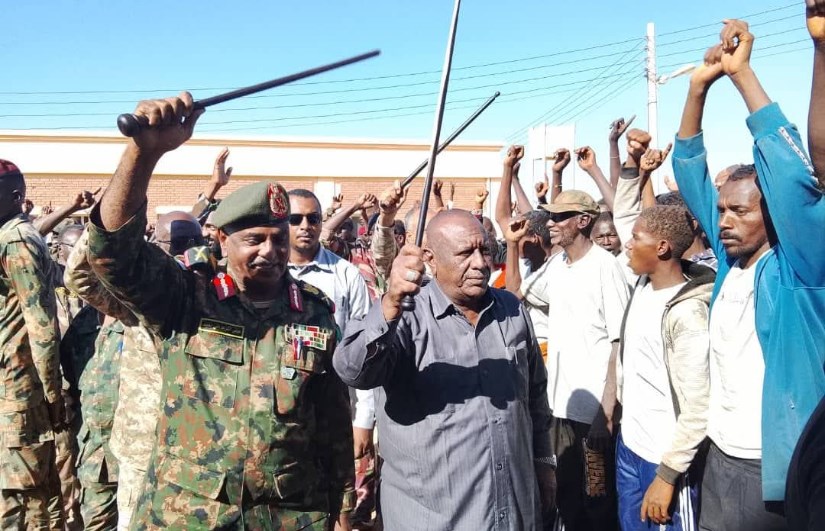 أسود الجزيرة