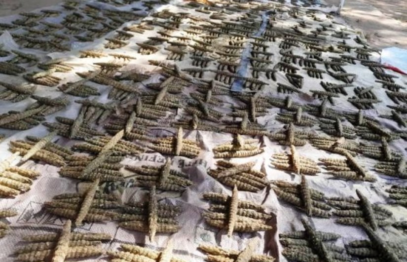 مواد مخدرة - أرشيفية