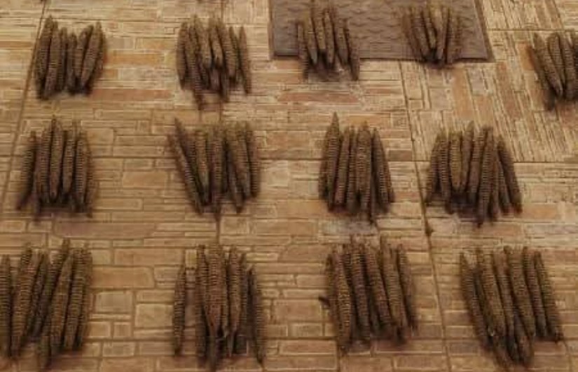 ضبط 4390 رأس حشيش داخل عربة بأم درمان