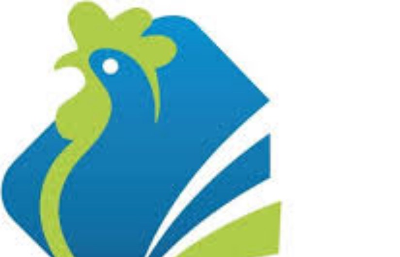 دواجن النيل