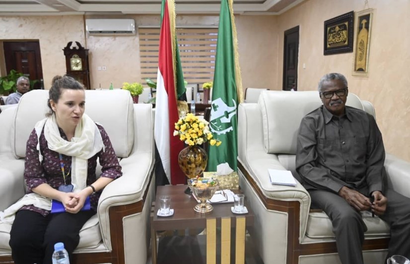 الصليب الأحمر