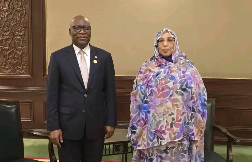 الدكتورة ليمياء عبدالغفار