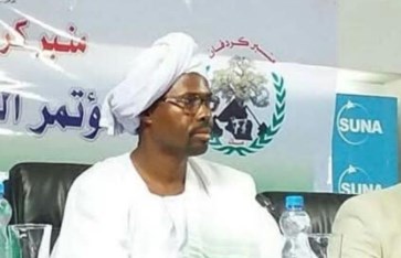 حسن حامد حسن