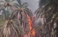 حرائق محلية مروي