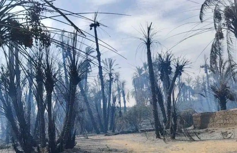 حريق ضخم يلتهم نخيل الباسا بمروي ويسبب أضرارًا واسعة في المنازل