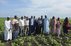 جمعية الرائدات الزراعية بالنيل الأزرق 