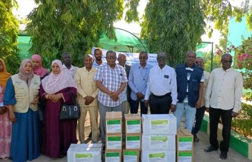 الأمن الغذائي في سنار