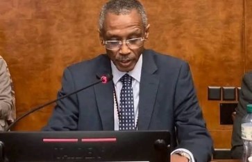 السفير حسن حامد حسن