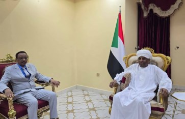 التعليم العالي