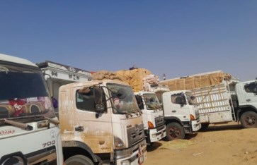 شاحنات غذائية