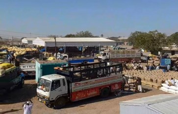 محاصيل القضارف