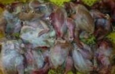 دواجن فاسدة