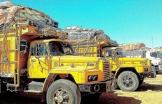 مكتب النقل العام والبترول بمحلية الدبة