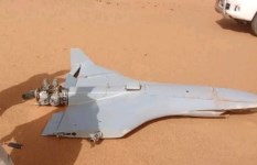 قوات درع النخيل