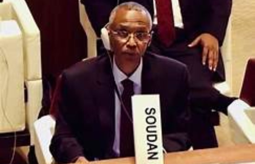 السفير حسن حامد حسن