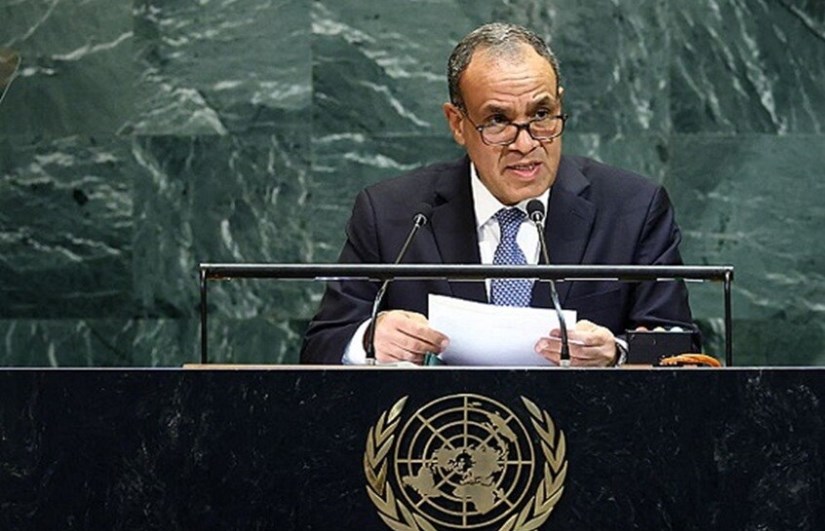 وزير الخارجية المصري 