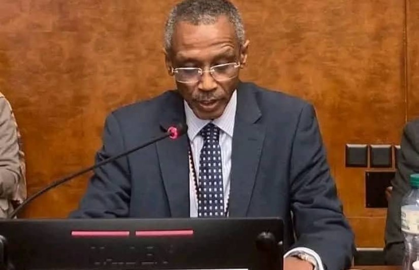 السفير حسن حامد حسن