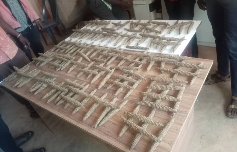 مخدرات وحشيش