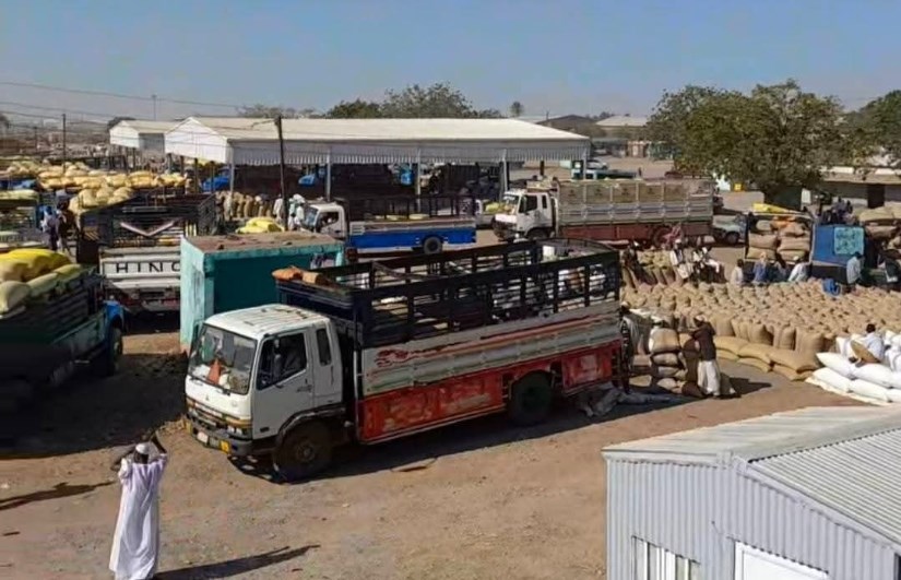 محاصيل القضارف