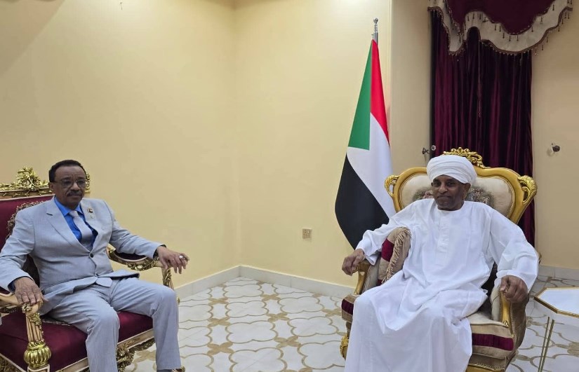 التعليم العالي