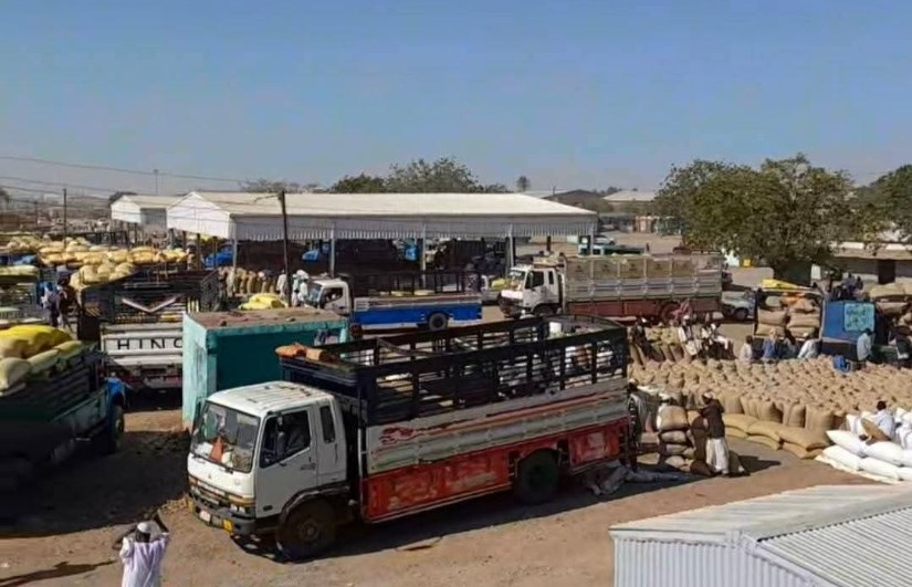 محاصيل القضارف