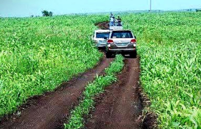 تعويضات المزارعين 