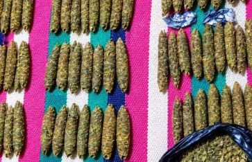 المضبوطات