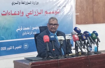 5.2 ملايين قنطار إنتاج القطن بالسودان.. وزير الزراعة يكشف تفاصيل تمويل الموسم
