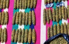 المضبوطات