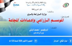 3.24 مليون فدان.. المساحة التأشيرية للموسم الزراعي الشتوي والقمح يستحوذ على مليون فدان