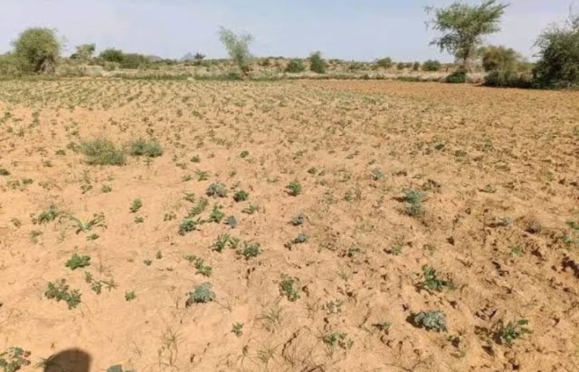 ظاهرة النينيو
