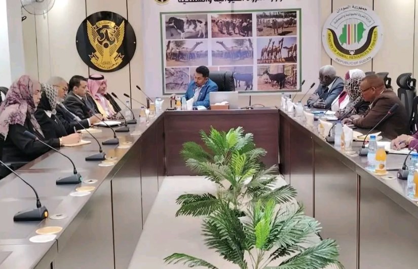 شركة قطرية تبدي رغبتها في الاستثمار بقطاع الثروة الحيوانية والسمكية في السودان