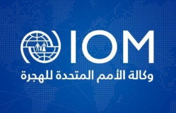 الامم المتحدة للهجرة