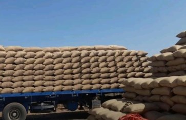 بورصة محاصيل  القضارف