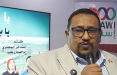 مجدي محمد أمين