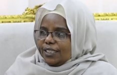 تقصّي الحقائق 