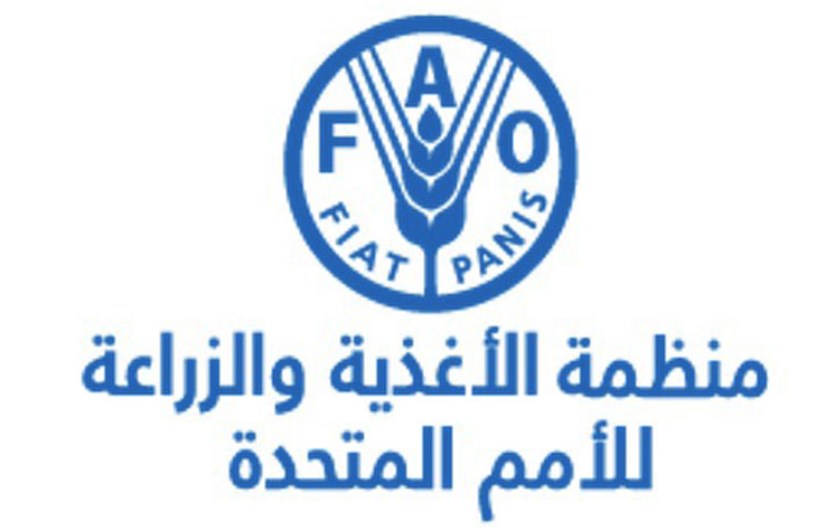 الفاو: أسعار الغذاء العالمية تتراجع للشهر الخامس على التوالي
