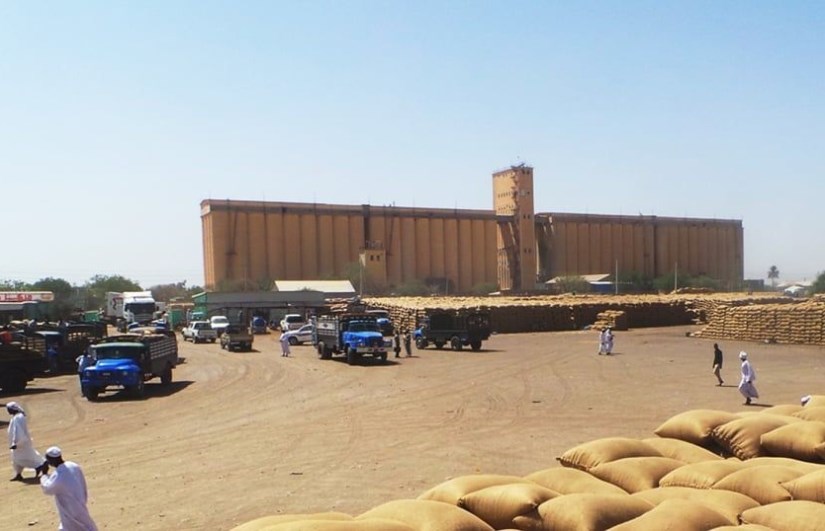 محاصيل الذرة