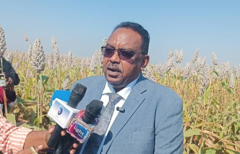 محافظ مشروع الجزيرة 