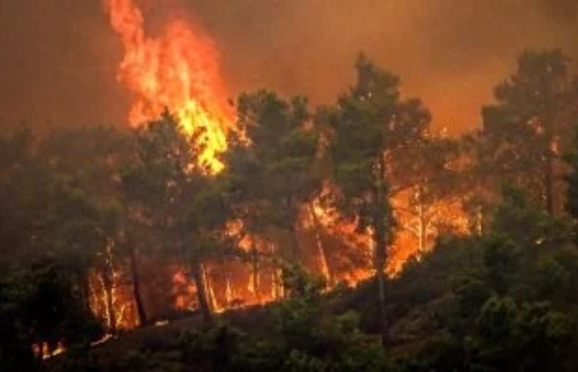 حرائق غابات