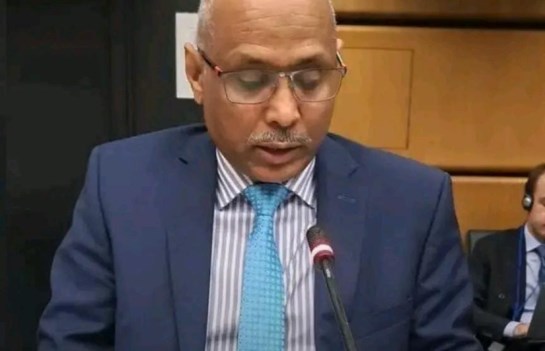 المندوب الدائم للسودان 
