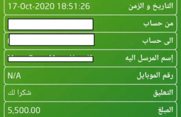 شبكة للاحتيال الإلكترونى